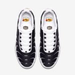 Nike Air Max Plus White Black Metallic Pewter - Image 2